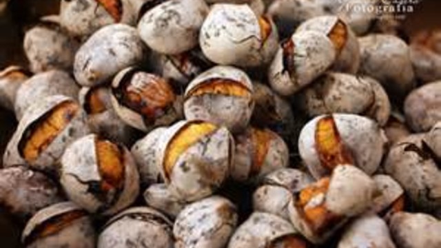 Venda Ambulante de Castanhas