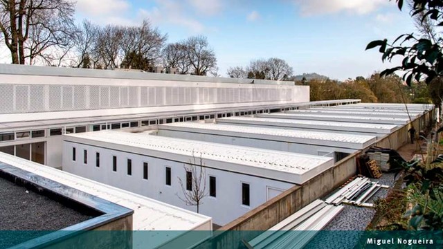 Novo centro de recolha animal será em Campanhã