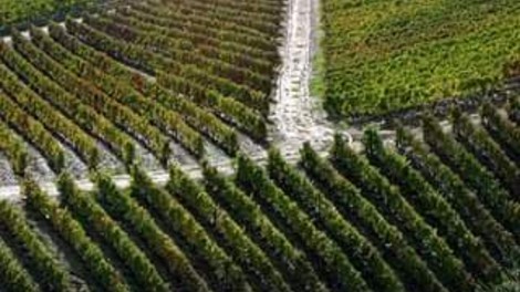 A INICIAR NOVEMBRO EM MIRAFLOR