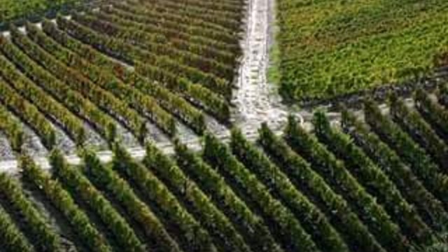 A INICIAR NOVEMBRO EM MIRAFLOR