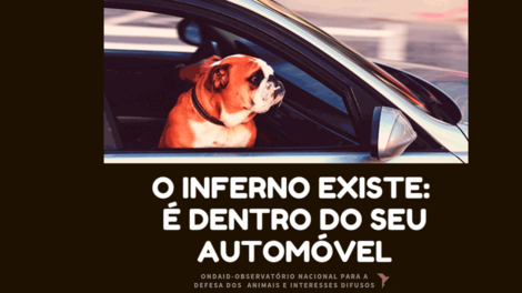 Campanha de alerta para Golpe de Calor dentro de automóveis