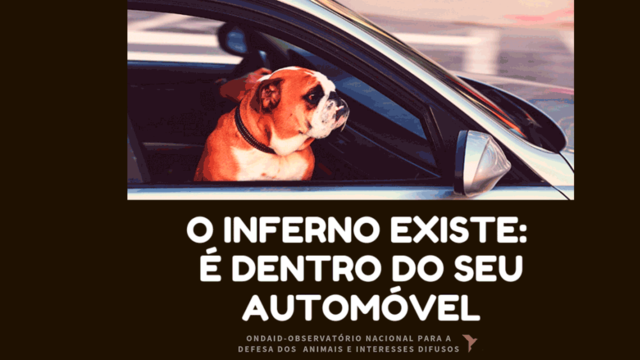 Campanha de alerta para Golpe de Calor dentro de automóveis