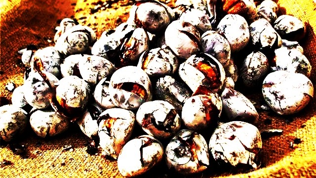 MAPA ATRIBUIÇÃO DE LUGARES VENDA AMBULANTE DE CASTANHAS MAPA ATRIBUIÇÃO DE LUGARES VENDA AMBULANTE DE CASTANHAS