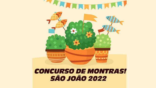 Montras de São João do Porto estarão a concurso
