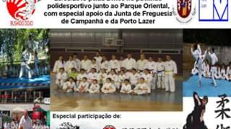 GRANDE SARAU DE KARATÉ