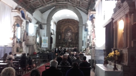 TARDE DE CANTARES DE JANEIRAS ANIMADO