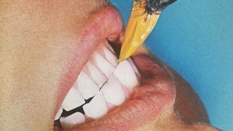 PARA QUEM GOSTA DE FOTOGRAFIA - ESTA SEMANA EM MIRAFLOR