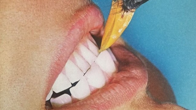 PARA QUEM GOSTA DE FOTOGRAFIA - ESTA SEMANA EM MIRAFLOR