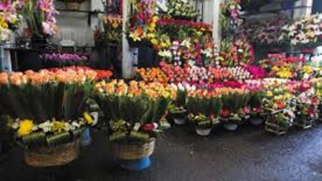 SORTEIO DE VENDEDORES AMBULANTES VELAS, FLORES E CERA