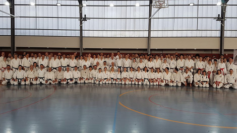 Treino de Graduados de Karaté em Campanhã