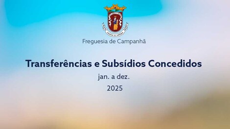 Transferências e Subsídios Concedidos 2025