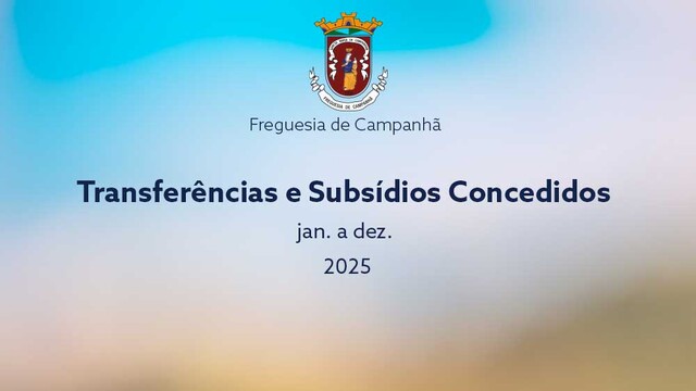 Transferências e Subsídios Concedidos 2025