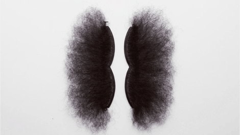 Espaço Mira inaugura exposição plural de artistas mulheres