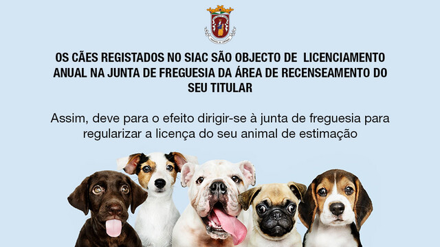 INFORMAÇÃO Licenciamento de Animal de Companhia  INFORMAÇÃO Licenciamento de Animal de Companhia